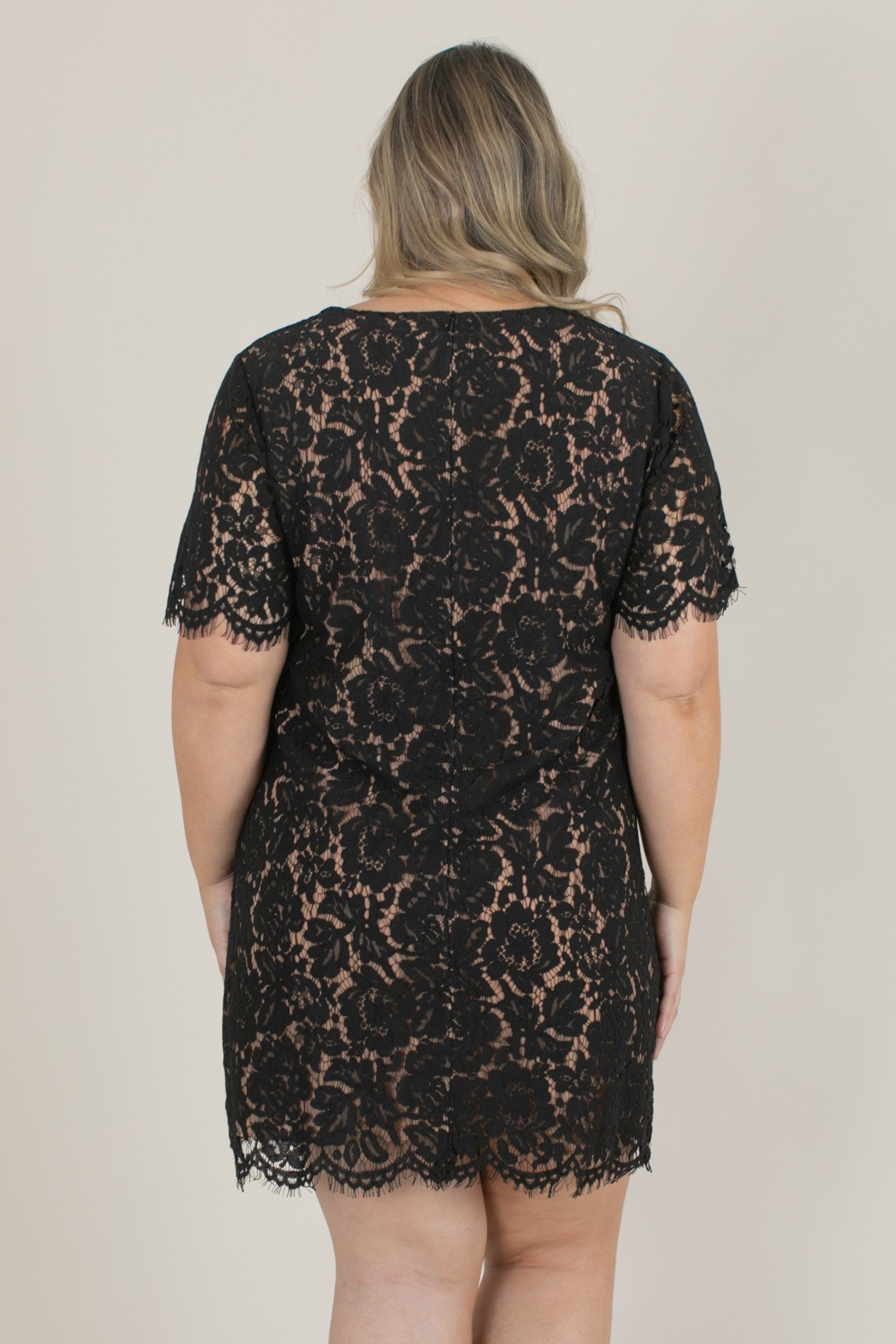 Lace Shift Dress Plus Size