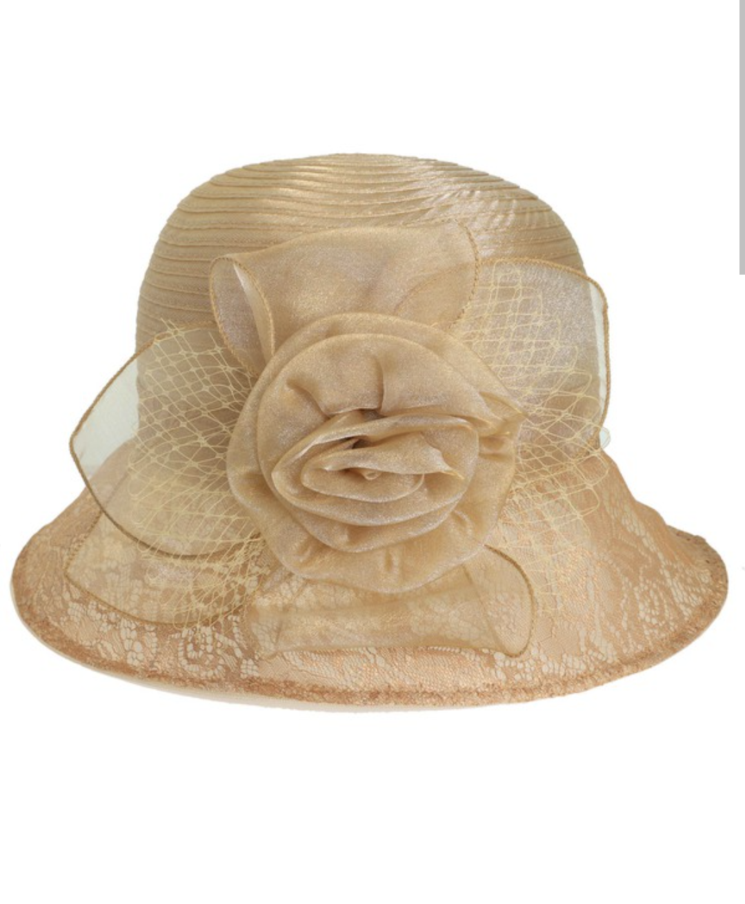 Flower Netted Down Brim Organza Hat