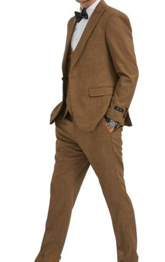 Men Slim Fit 3-Piece Suit